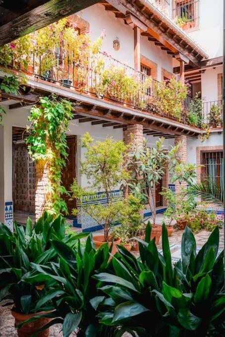 Qh Caldeleria Vieja Apartment Granada Exterior photo